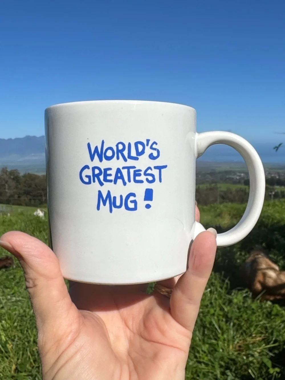 VTG 1979 Ask Shagg Mug Worlds Greatest Mug - Japan